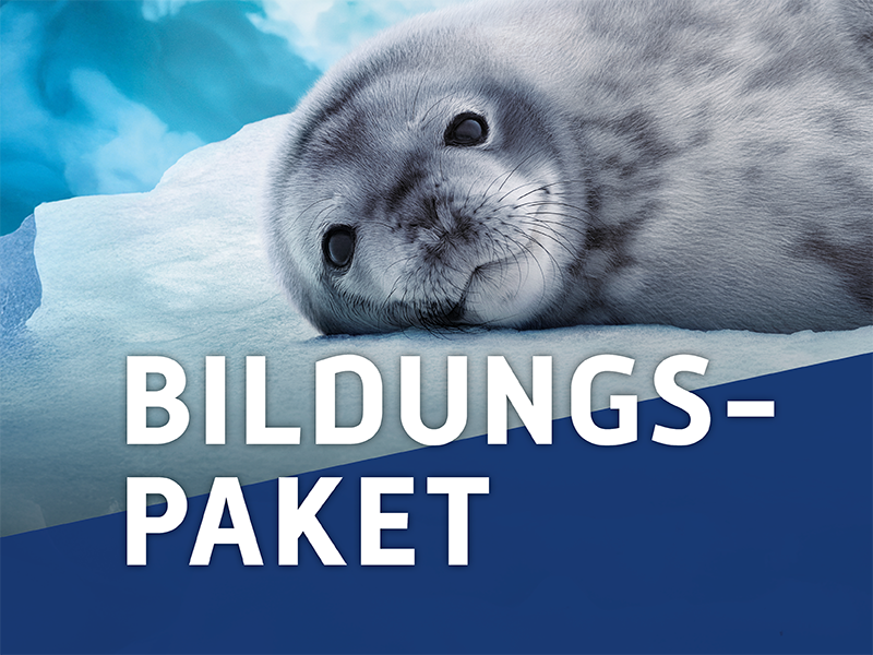 Bildungspaket 
